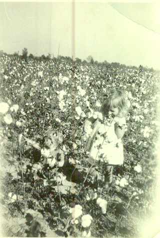 Doug%27s%20mother%20picking%20cotton.jpg