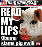 Lipstick%20on%20a%20pig%20front%20page%20in%20New%20York%20Post.jpg