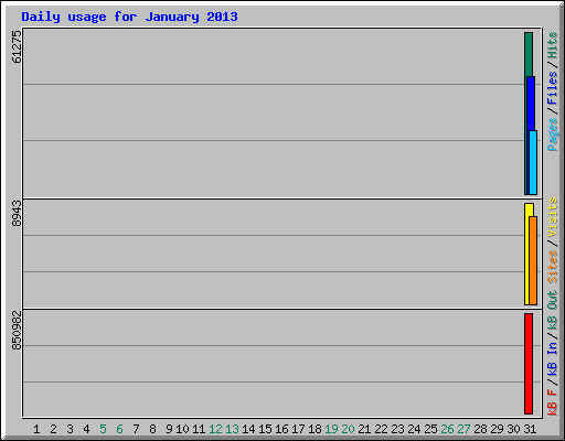 Daily usage for January 2013