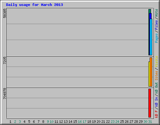 Daily usage for March 2013