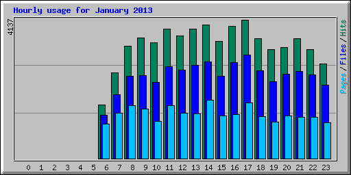 Hourly usage for January 2013