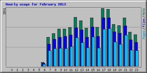 Hourly usage for February 2013